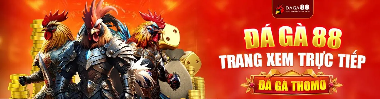 Sân đấu gà đá trực tuyến đầy kịch tính tại vn123 Nổ Hũ